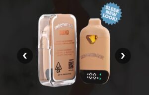 SMOOTHIE BAR DISPOSABLE DONNY BURGER X GORILLA CANDY 
